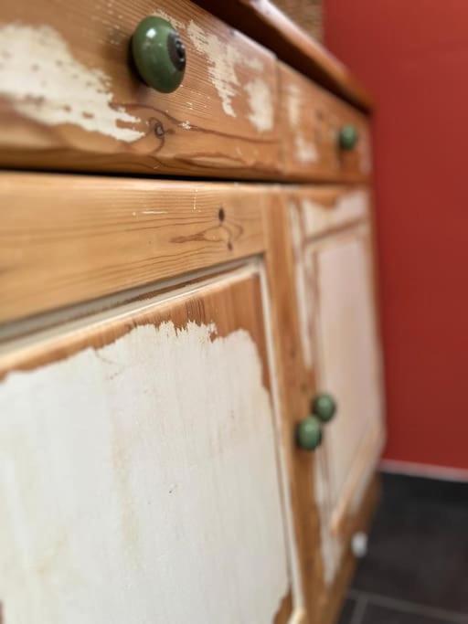 Apartment "Nachtweide" In マクデブルク エクステリア 写真