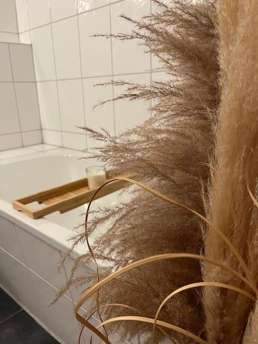 Apartment "Nachtweide" In マクデブルク エクステリア 写真