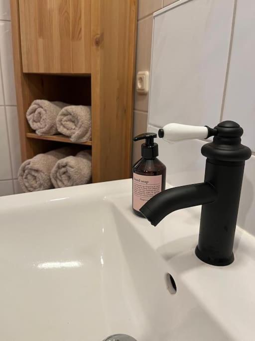 Apartment "Nachtweide" In マクデブルク エクステリア 写真